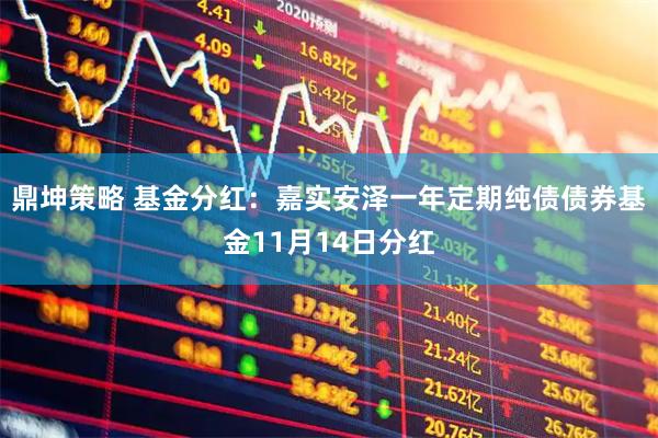 鼎坤策略 基金分红：嘉实安泽一年定期纯债债券基金11月14日分红