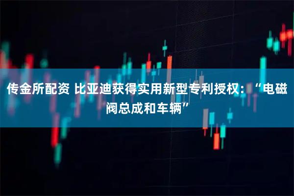 传金所配资 比亚迪获得实用新型专利授权：“电磁阀总成和车辆”